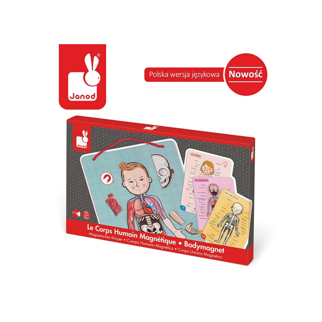 Układanka magnetyczna Ciało Człowieka - Anatomia - Janod