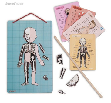 Układanka magnetyczna Ciało człowieka - Janod