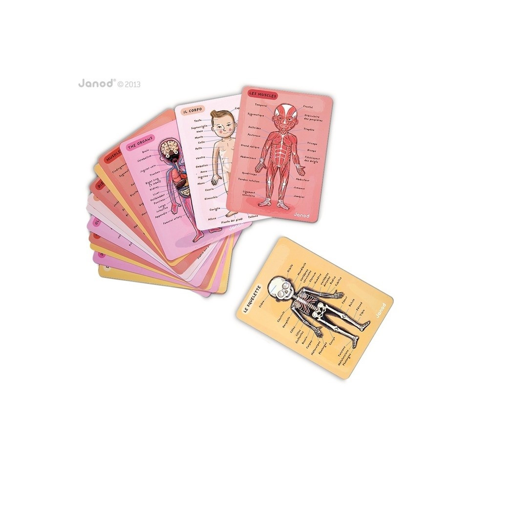 Układanka magnetyczna Ciało Człowieka - Anatomia - Janod