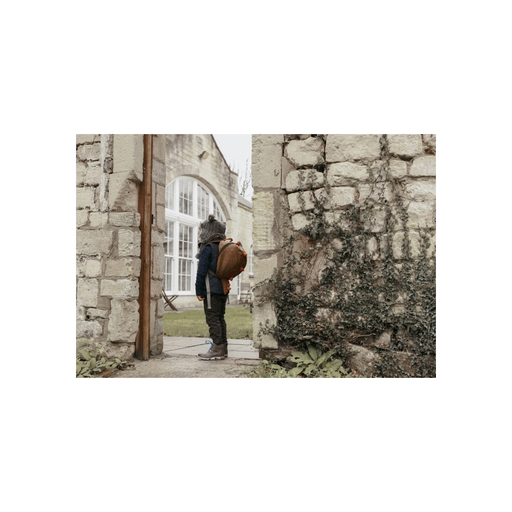 Duży Plecak LittleLife Animal Pack - Dinozaur 3+