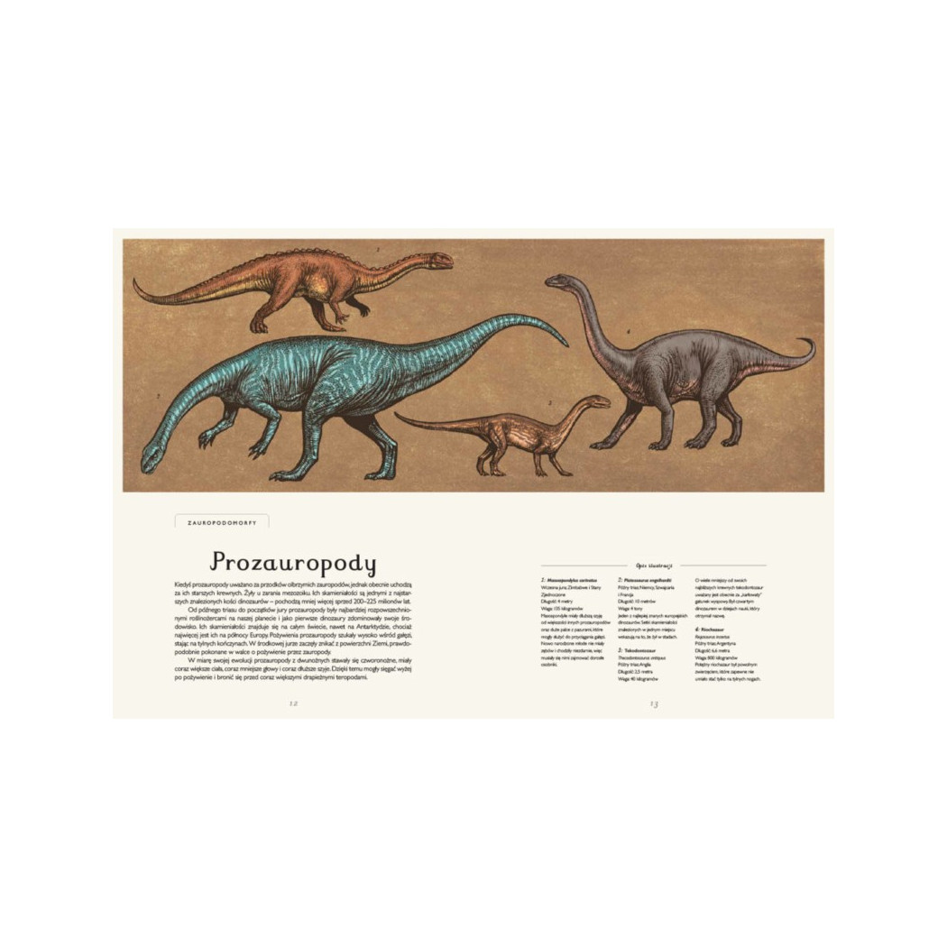 DINOZAURIUM - Lily Murray - DWIE SIOSTRY