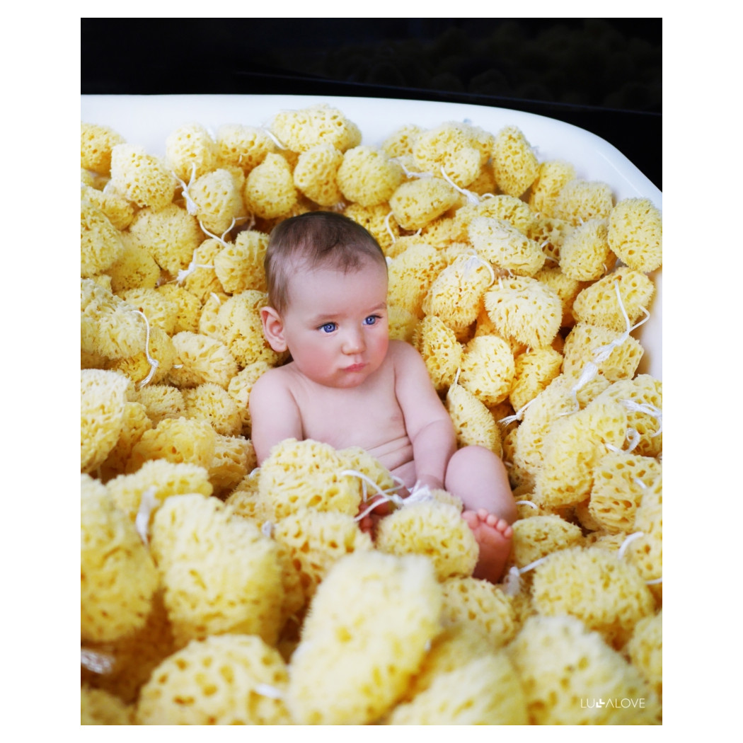Gąbka Naturalna Morska - Natural Sea Sponge - LullaLove