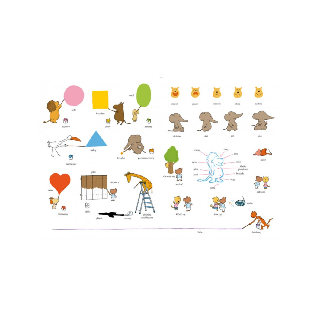 Mój pierwszy słownik obrazkowy - Wydawnictwo Entliczek