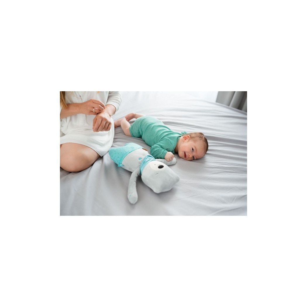 Szumiś Lily - Mechanizm Szumiący - Szumisie