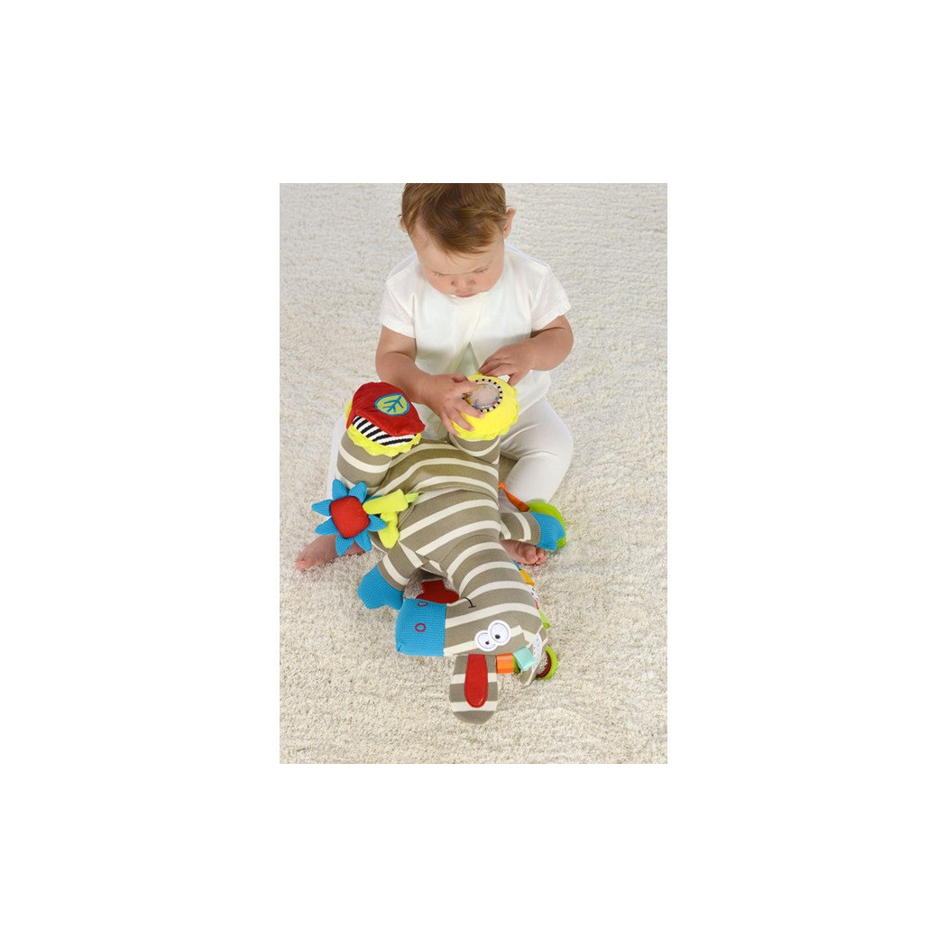 Aktywizująca Zebra - Dolce