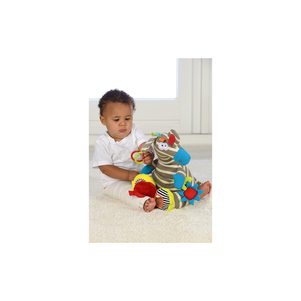 Aktywizująca Zebra - Dolce