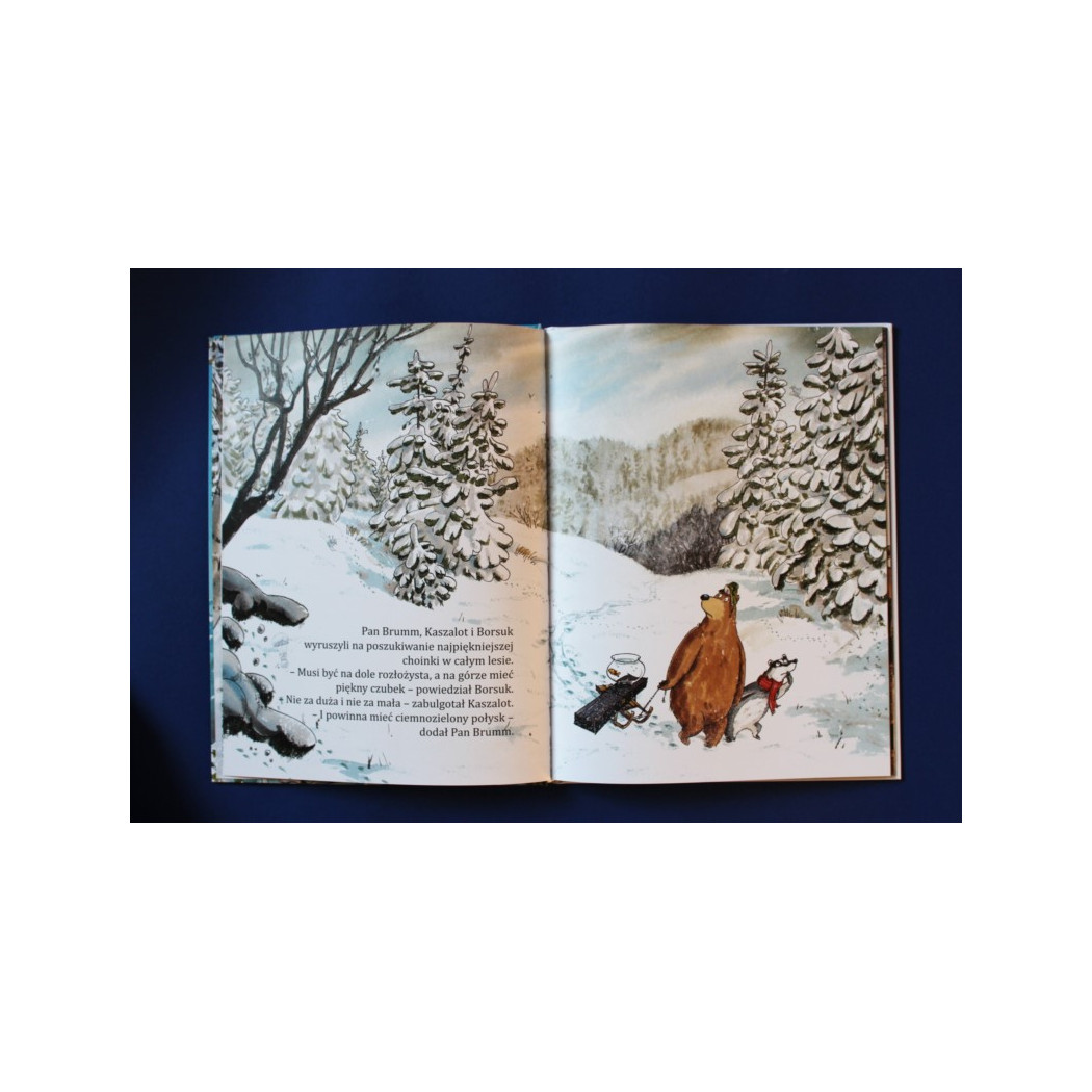 Pan Brumm obchodzi Boże Narodzenie - Wydawnictwo Bona