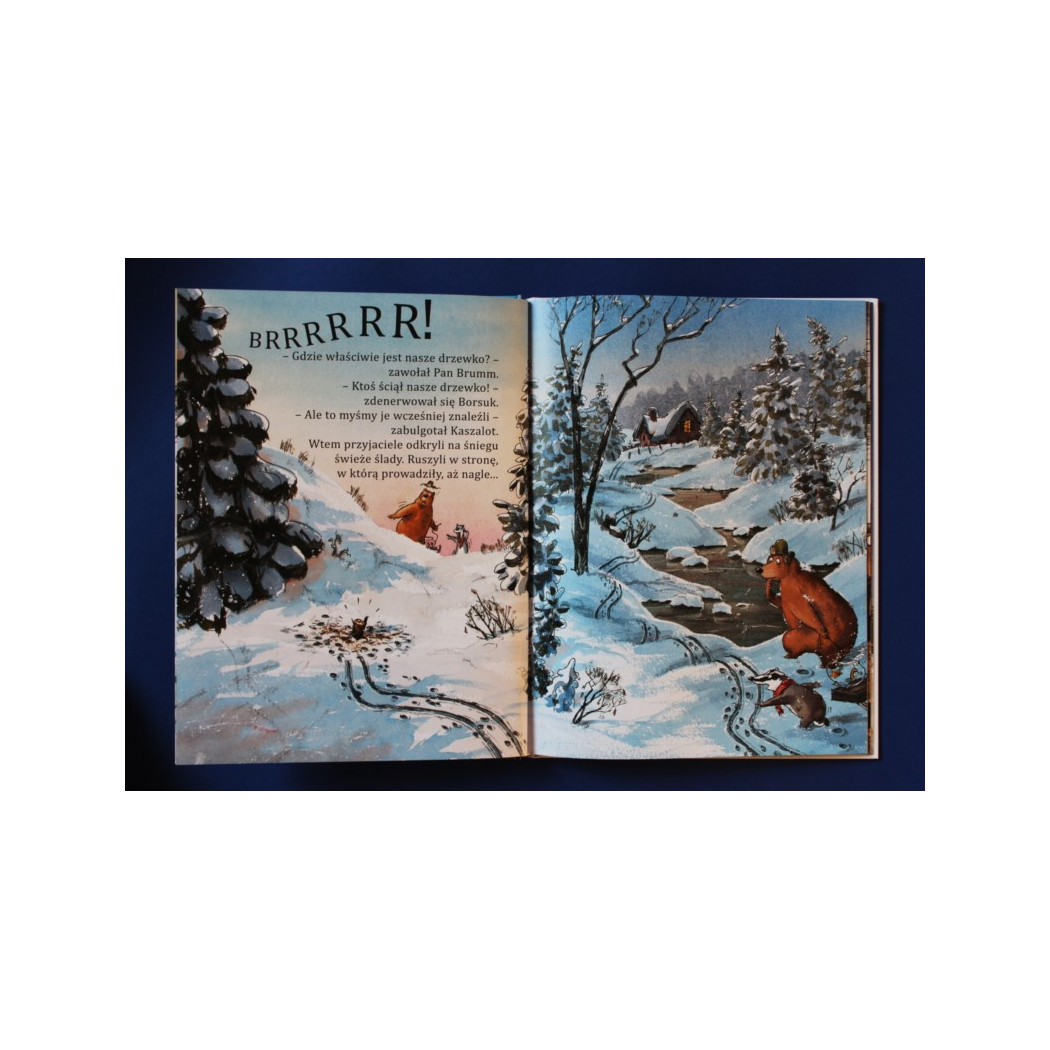 Pan Brumm obchodzi Boże Narodzenie - Wydawnictwo Bona