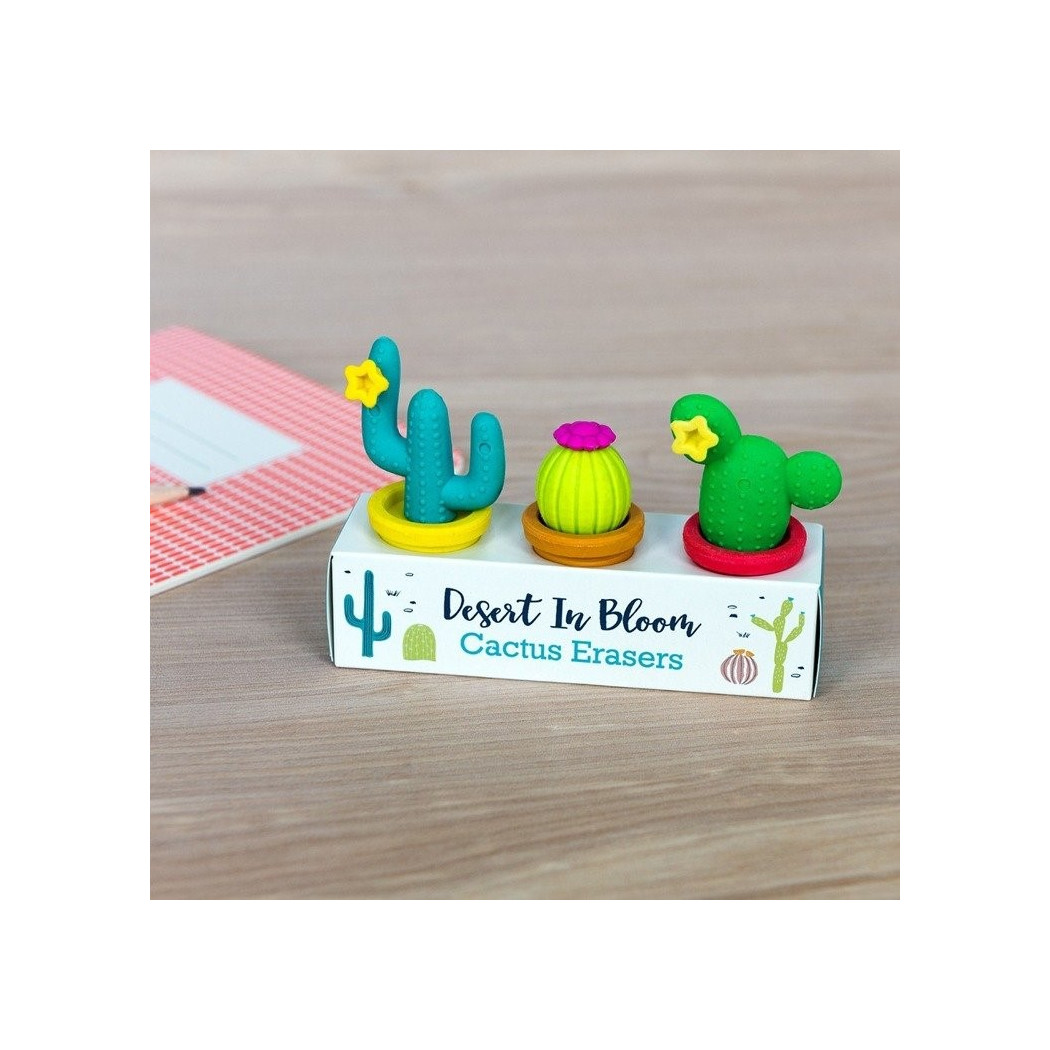 Kaktusy - Gumki Do Mazania - 3 szt - Rex London Trade