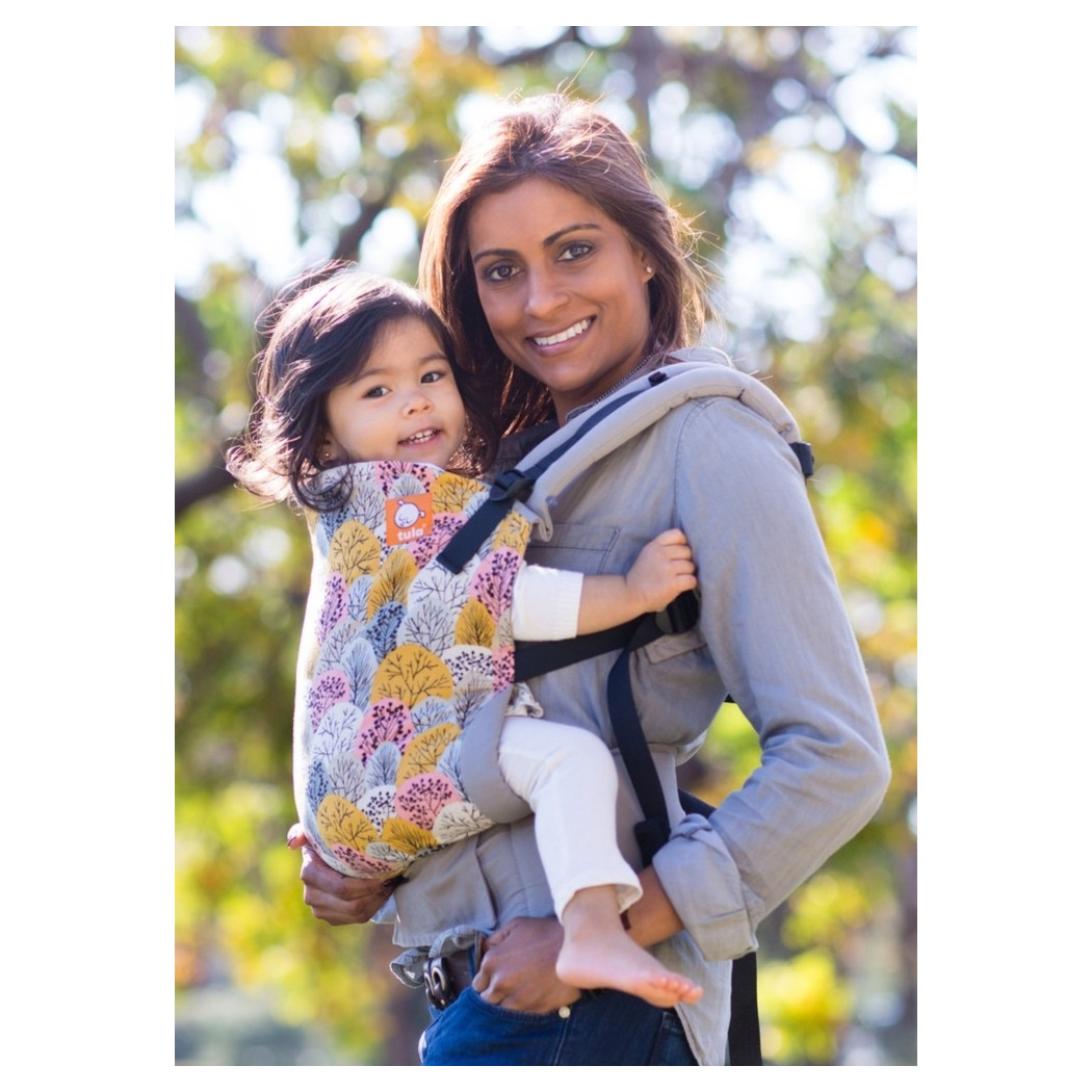 TODDLER TULA - nosidełko - wzór Shenandoah