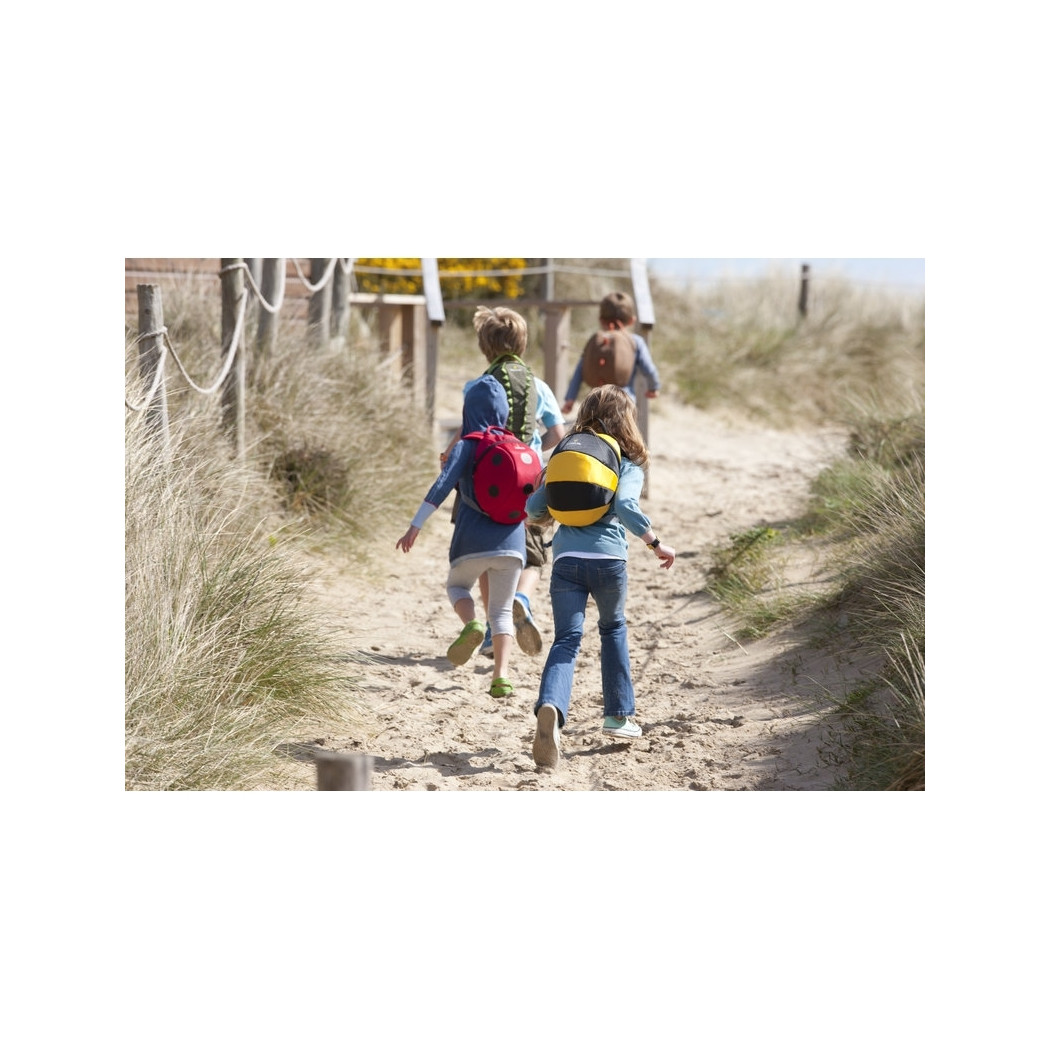 Duży Plecak LittleLife Animal Pack - Pszczółka 3+