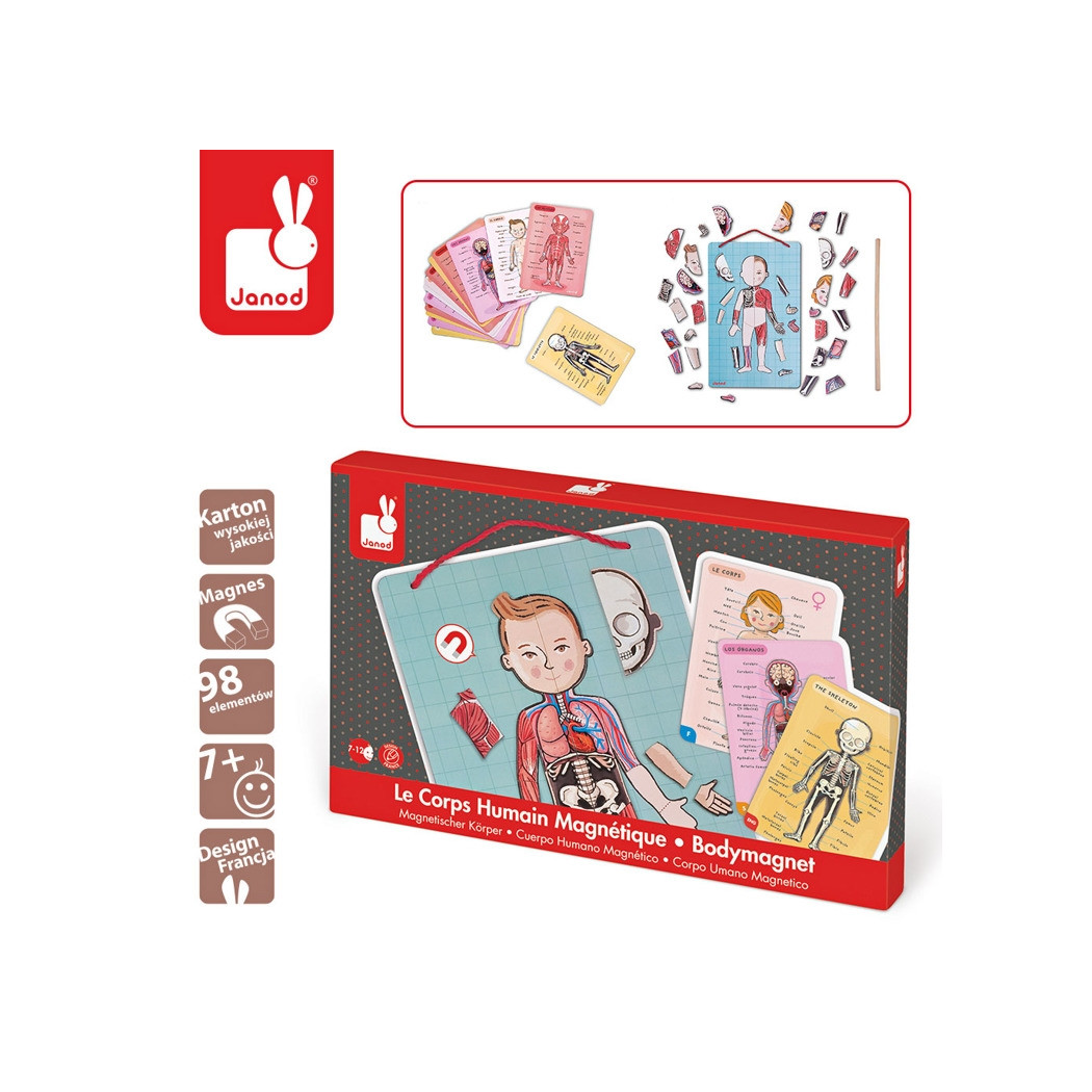 Układanka magnetyczna Ciało Człowieka - Anatomia - Janod