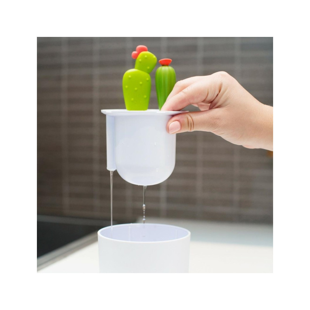 Kaktusy - Zestaw Do Czyszczenia Butelek -  BOON