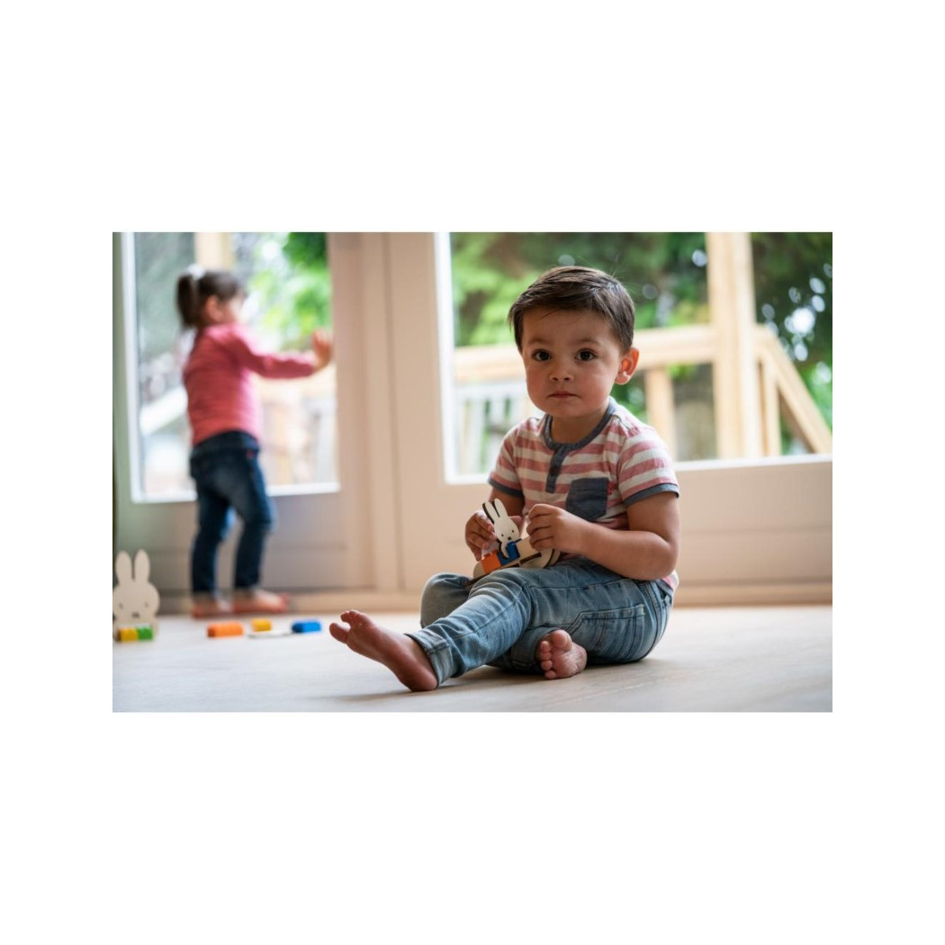 WYPRZEDAŻ Samolot Królika - Zestaw Duże Klocki - Brikkon