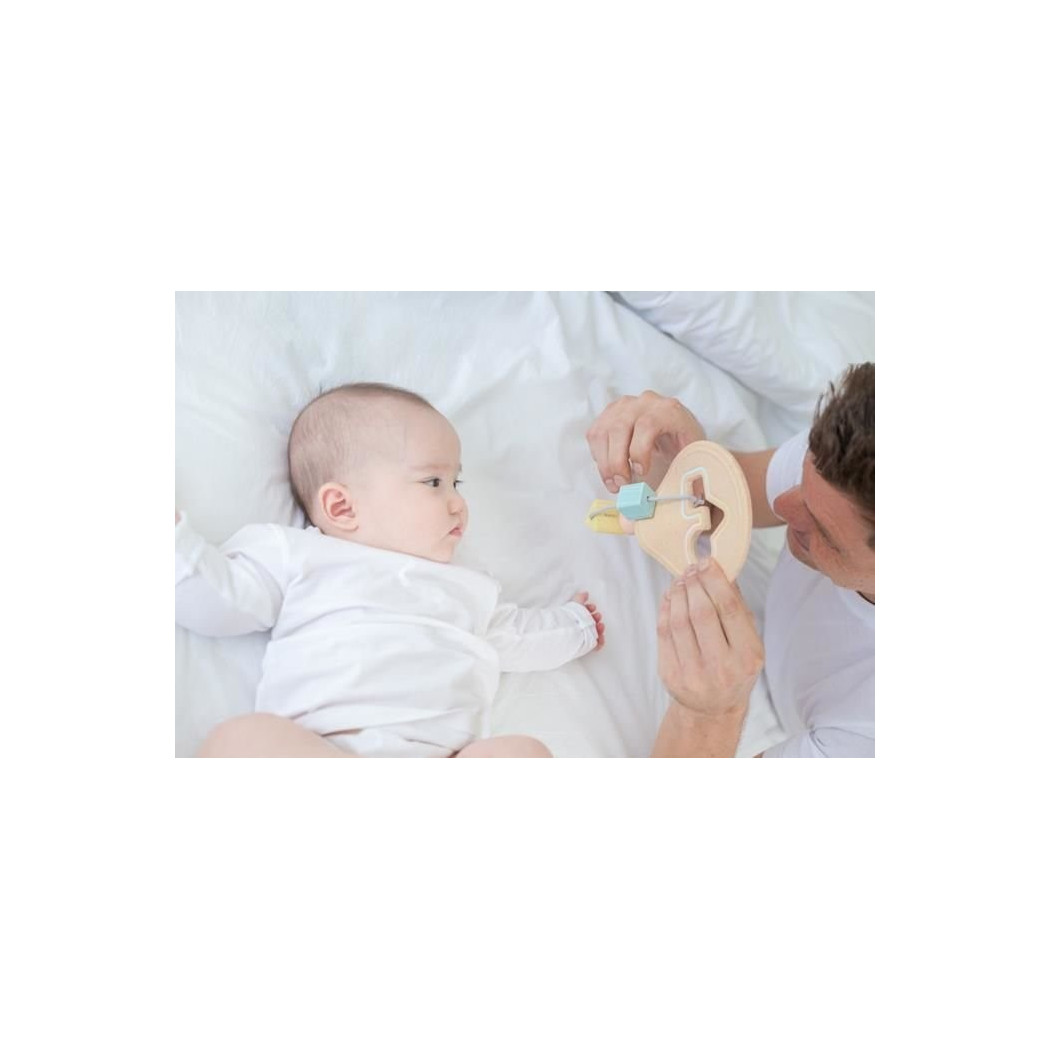 Pastelowy Pierwszy Sorter - Plan Toys - Montessori