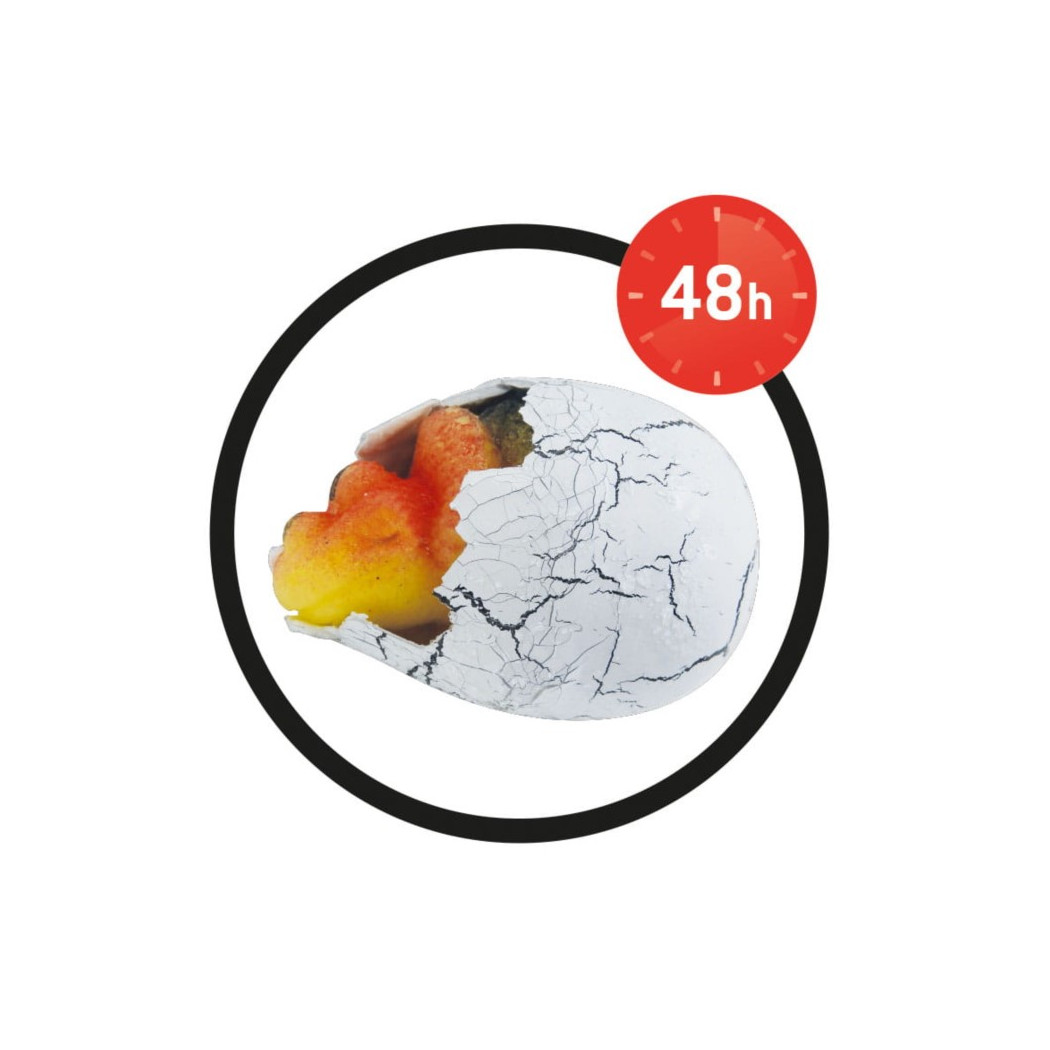 Magiczne Jajo Dinozaura - BUKI