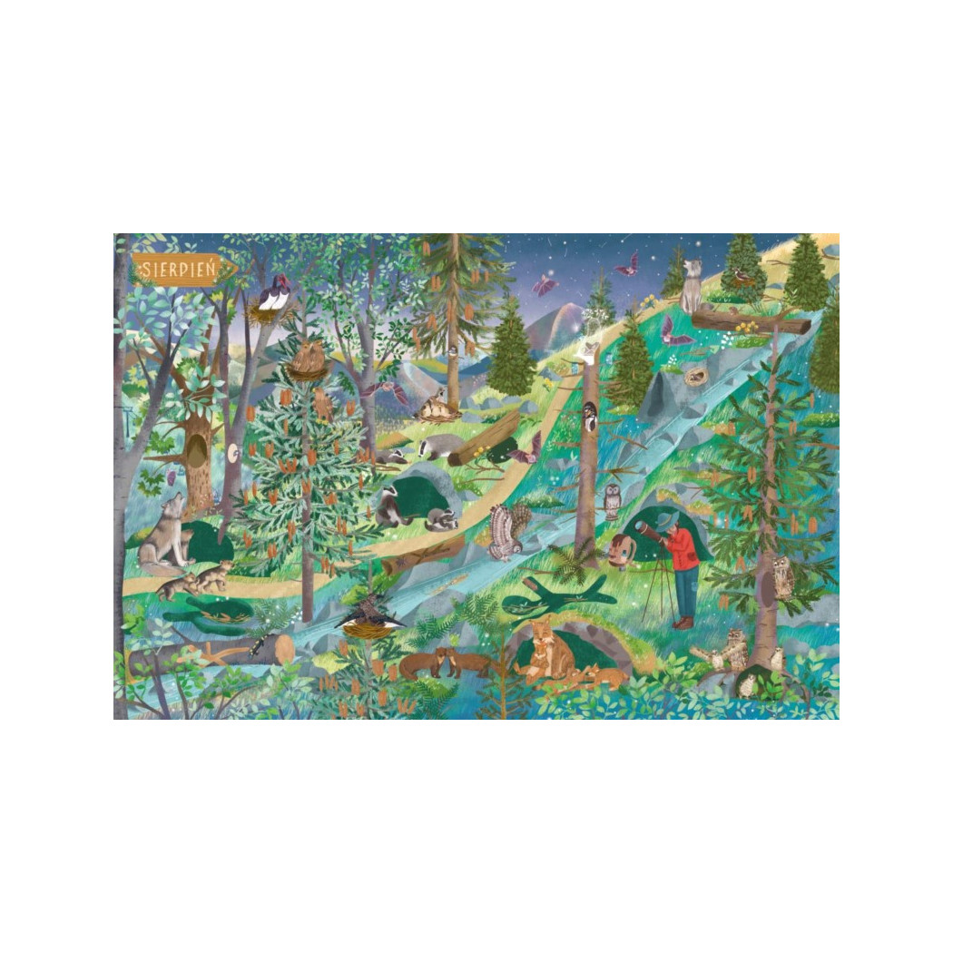 Rok w górach - Małgosia Piątkowska - Nasza Księgarnia