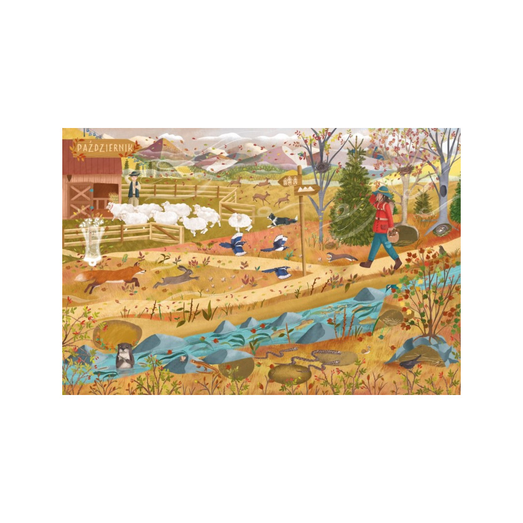 Rok w górach - Małgosia Piątkowska - Nasza Księgarnia