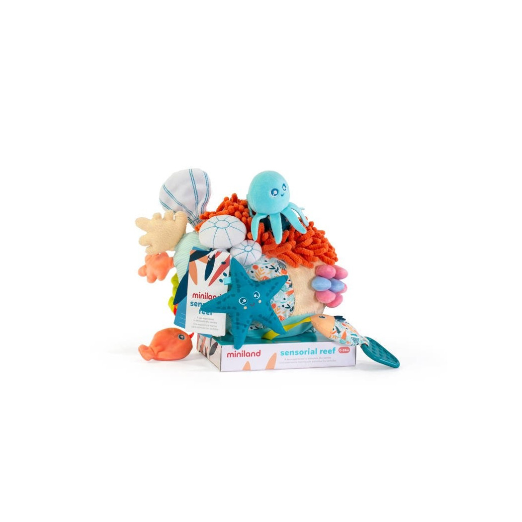 Kolorowa Sensoryczna Rafa - Eco Friendly - Miniland