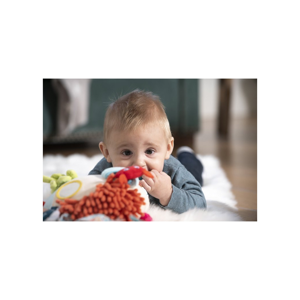 Kolorowa Sensoryczna Rafa - Eco Friendly - Miniland