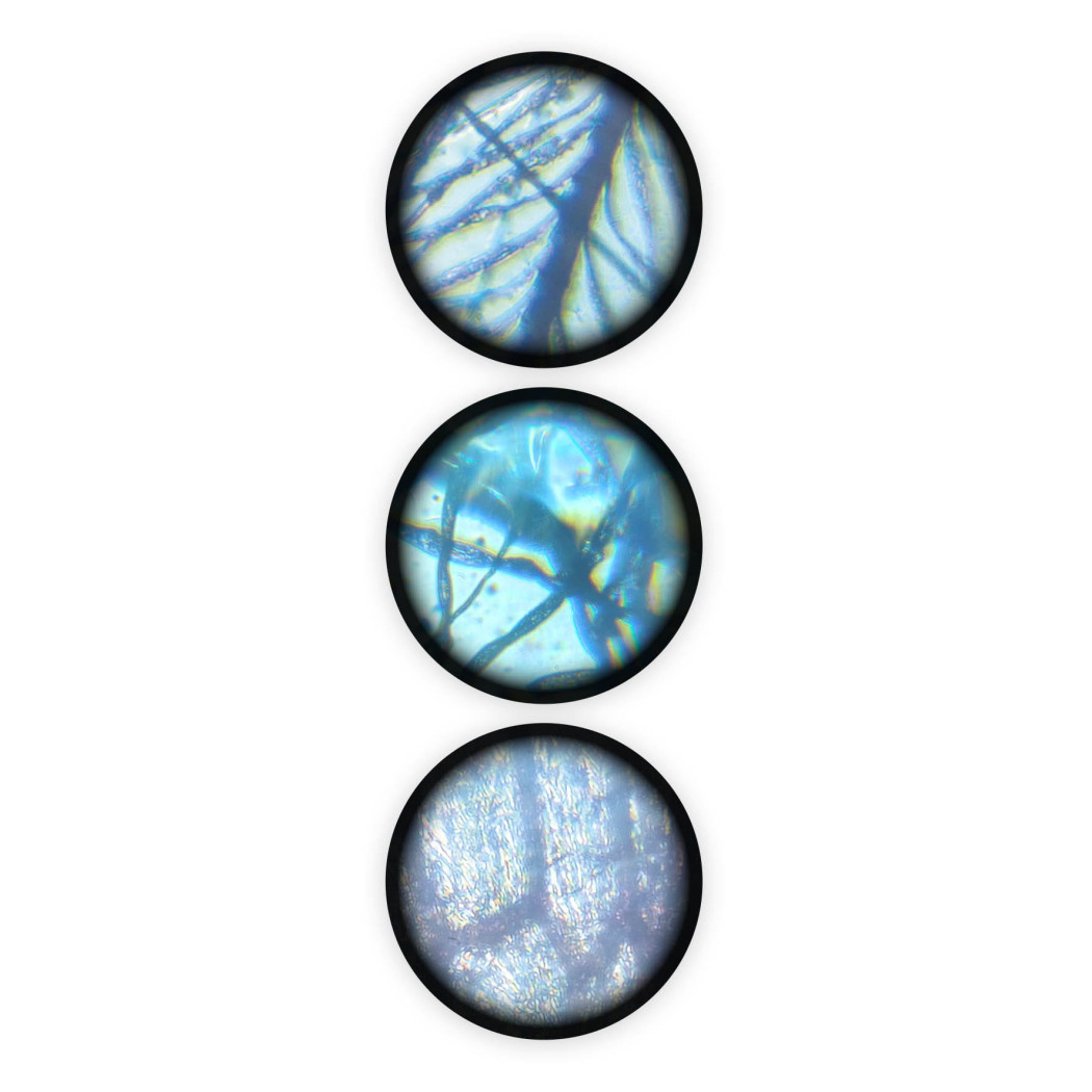 WYPRZEDAŻ Mikroskop 15 Doświadczeń - Mini Lab - BUKI