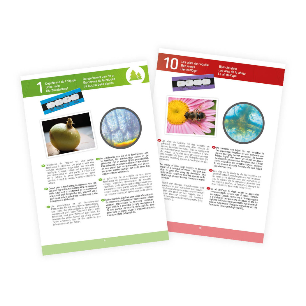 WYPRZEDAŻ Mikroskop 15 Doświadczeń - Mini Lab - BUKI