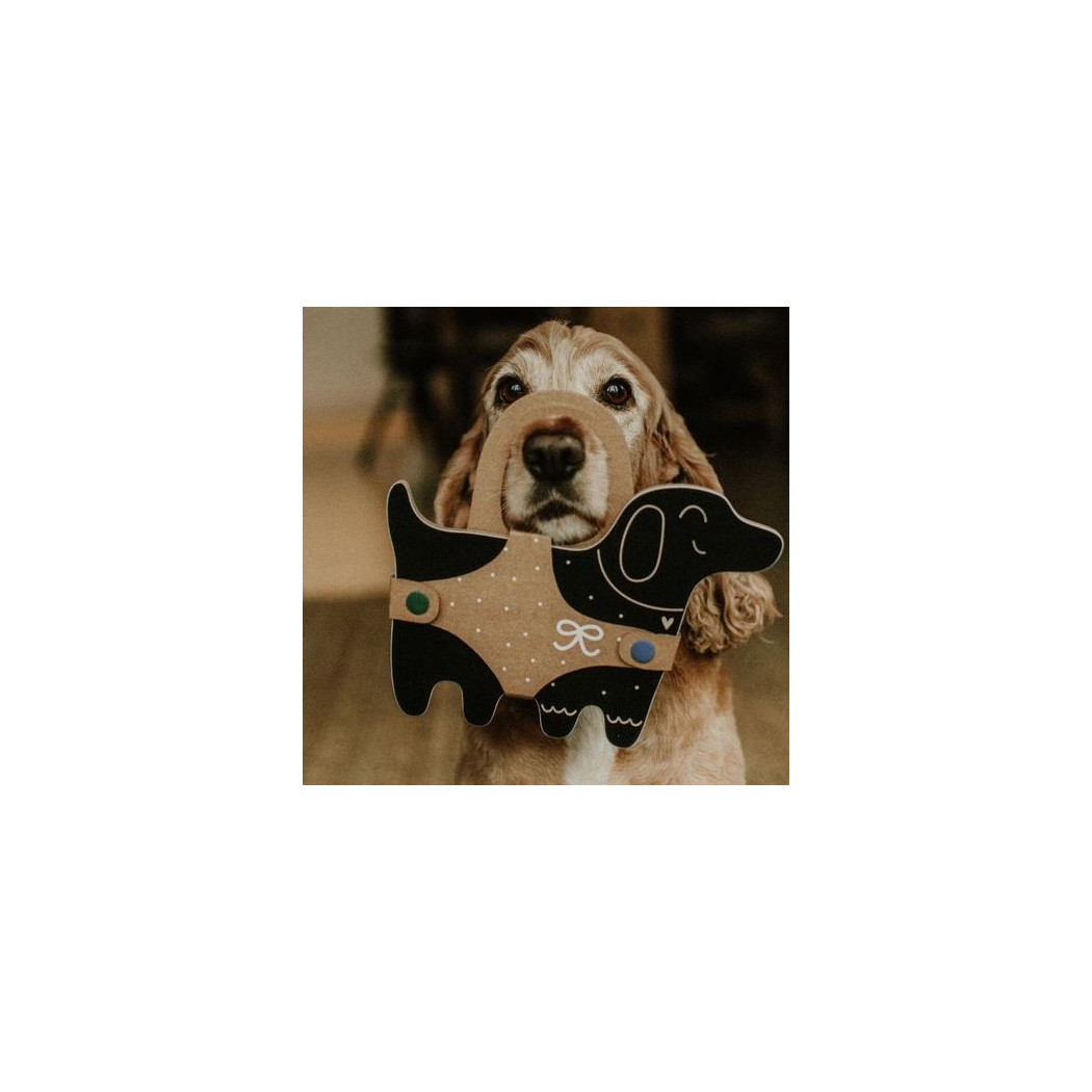 WYPRZEDAŻ Piesek KAJTEK - Tabliczka Kredowa - Milin