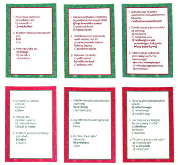 Gra Rodzinna Ciało Człowieka - Dzieci Kontra Rodzice - Kangur