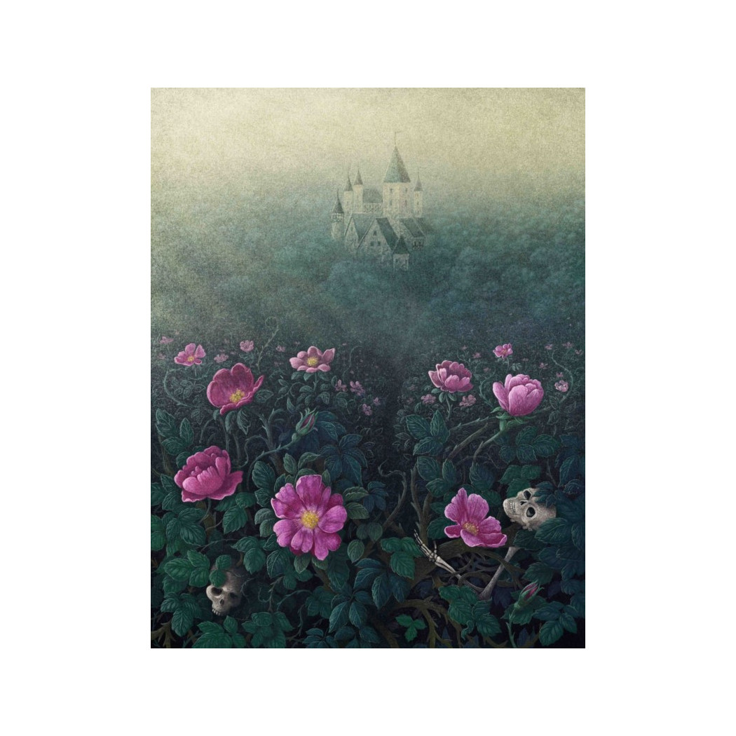 Baśnie Wybrane Braci Grimm - Jakub i Wilhelm Grimm - Twarda Oprawa - MEDIA RODZINA