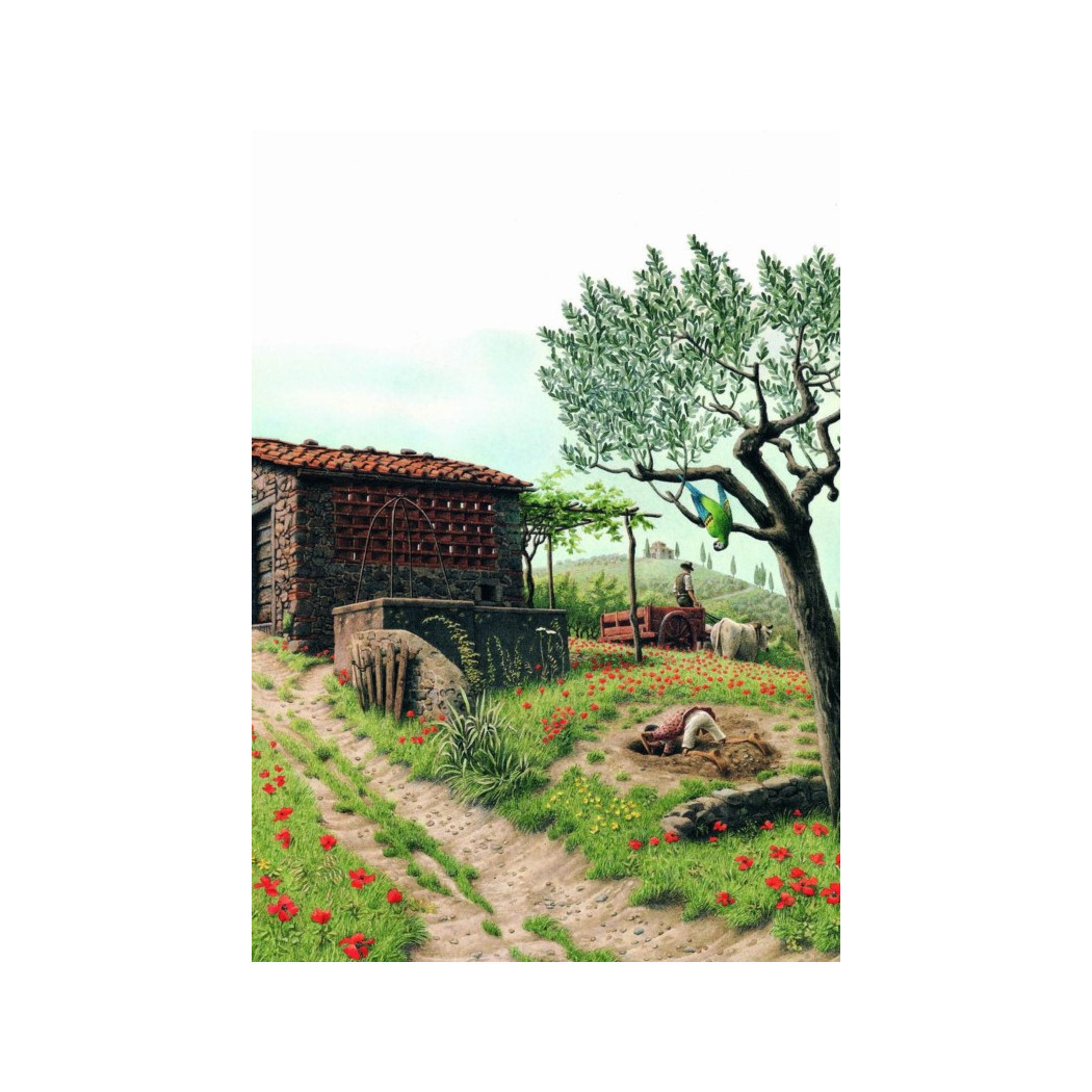 Pinokio - Carlo Collodi - Twarda Oprawa - MEDIA RODZINA