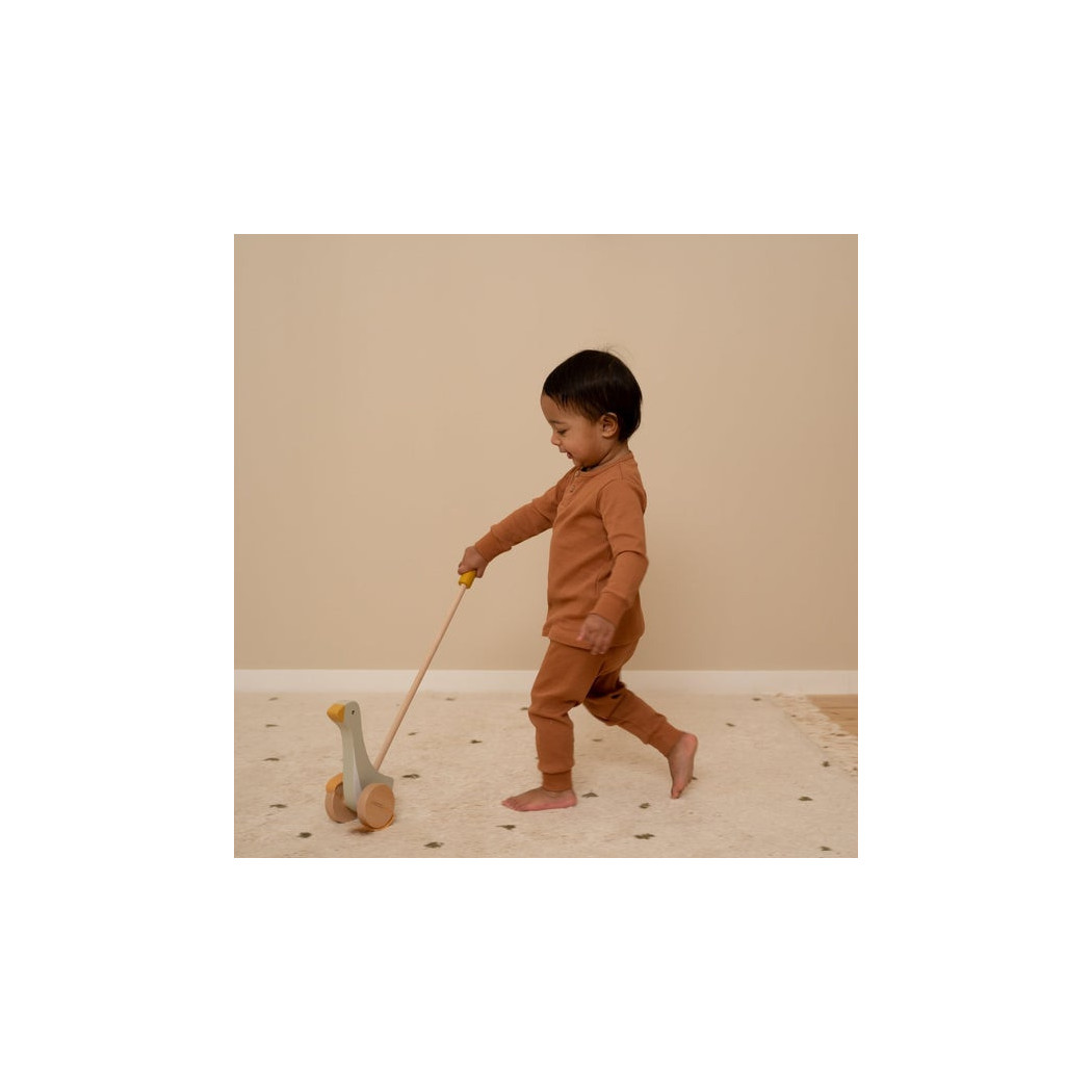 Little Goose - Pchacz Gąska - Little Goose - Little Dutch