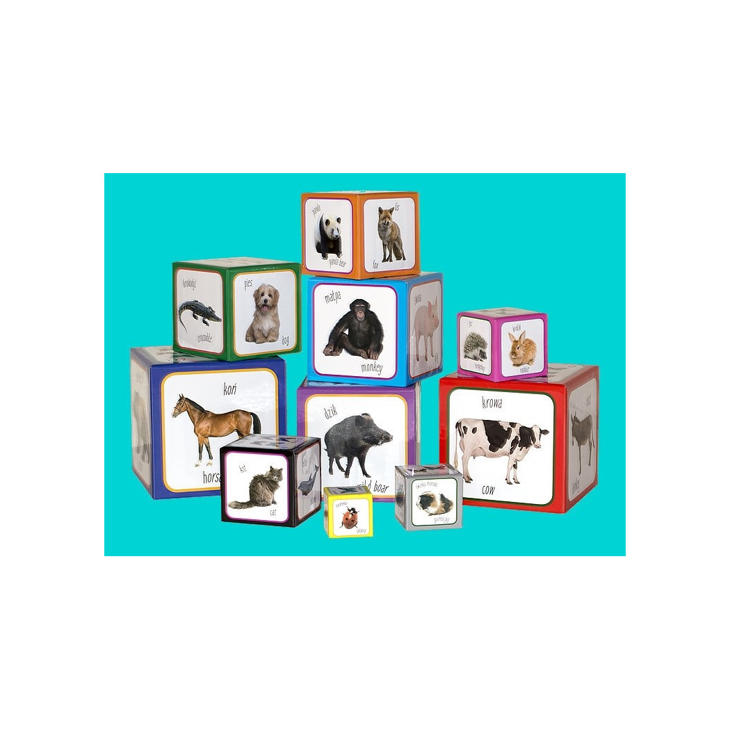 OUTLET Piramida zabaw - zwierzęta/animals - kartonowe klocki do nauki przez zabawę