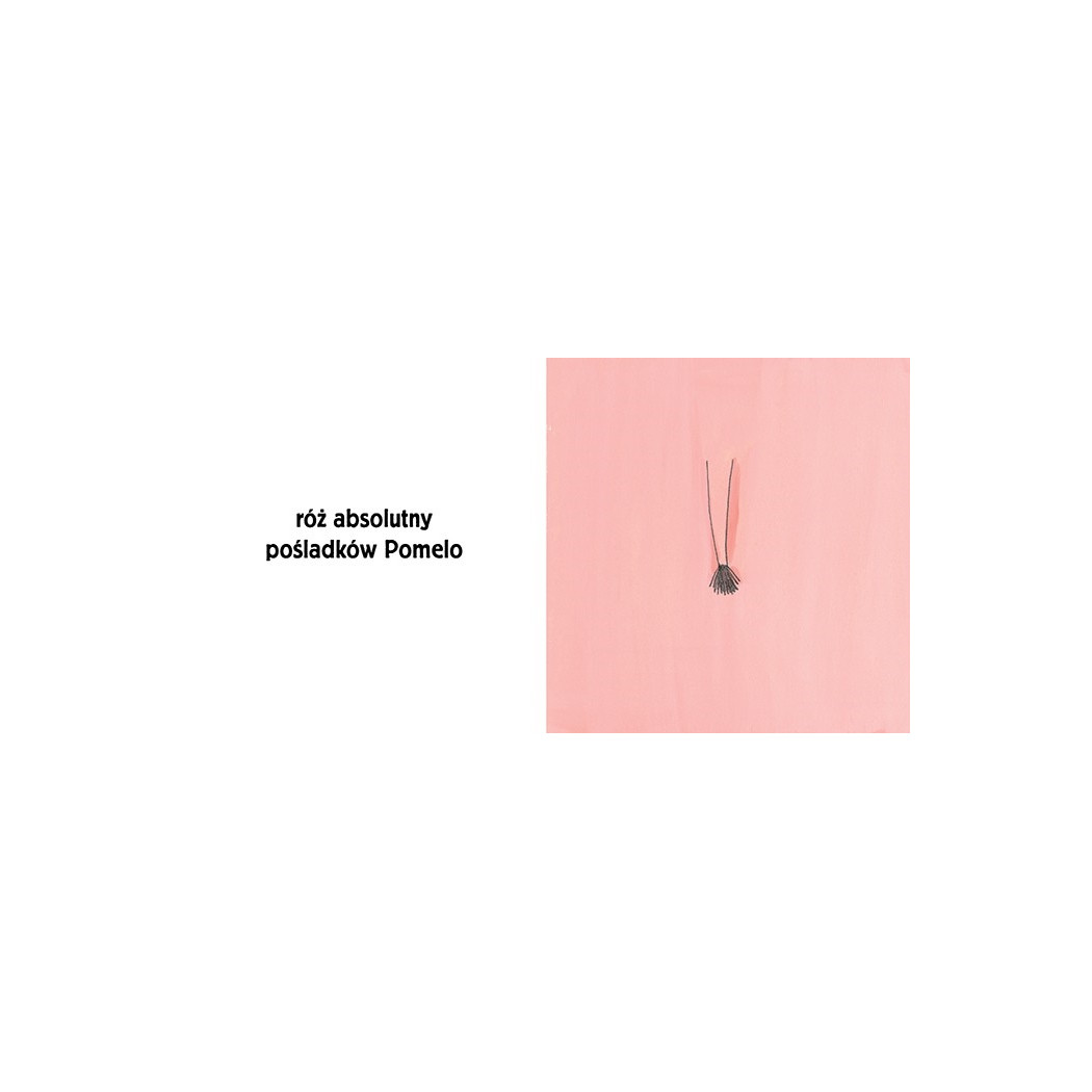 POMELO I KOLORY - Ramona Bădescu - ZAKAMARKI