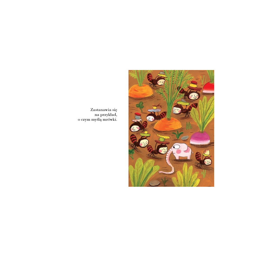 POMELO SIĘ ZASTANAWIA - Ramona Bădescu - ZAKAMARKI