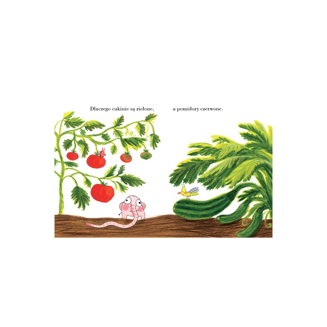 POMELO SIĘ ZASTANAWIA - Ramona Bădescu - ZAKAMARKI