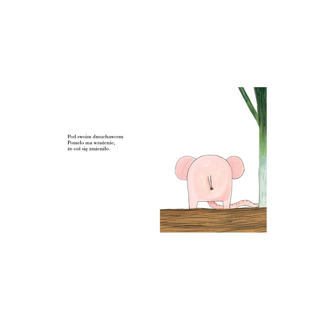 POMELO WYRUSZA ZA MUR OGRODU - Ramona Bădescu - ZAKAMARKI