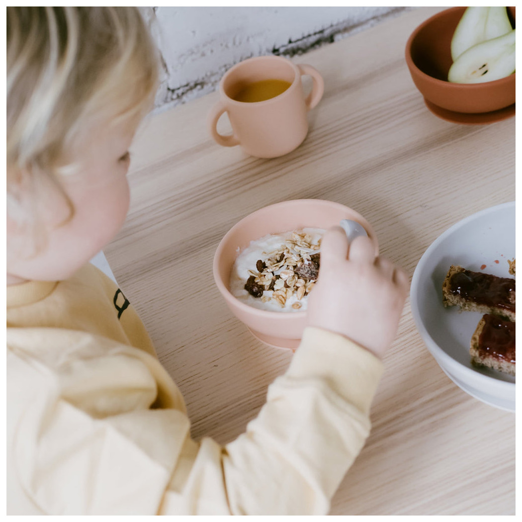 Blush/ Terracotta - Silikonowe Miseczki - Miska 2szt - EKOBO