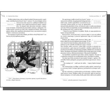 Akademia Pana Kleksa - Wydanie z Opracowaniem - Greg