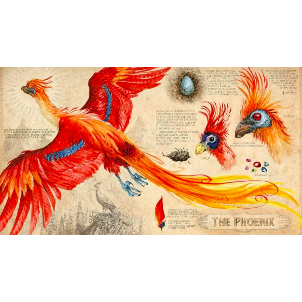 Harry Potter i Komnata Tajemnic - Wydanie Ilustrowane - Joanne K. Rowling - MEDIA RODZINA