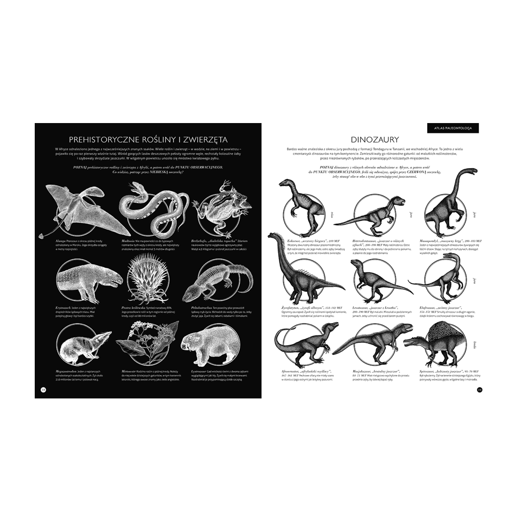 GABINET DINOZAURÓW - Brownridge Lucy, Carnovsky - WYDAWNICTWO DWIE SIOSTRY