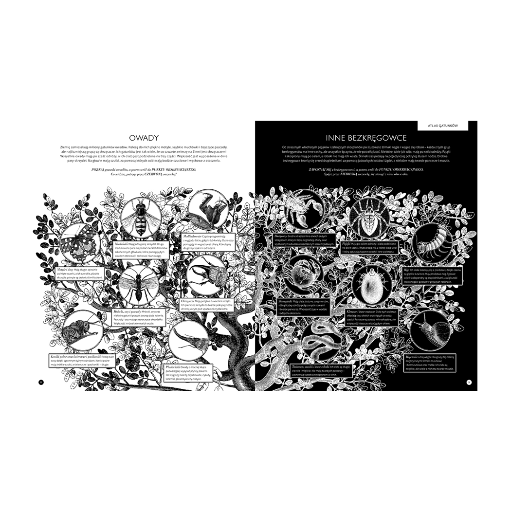 GABINET OWADÓW - Taylor Barbara, Carnovsky - WYDAWNICTWO DWIE SIOSTRY