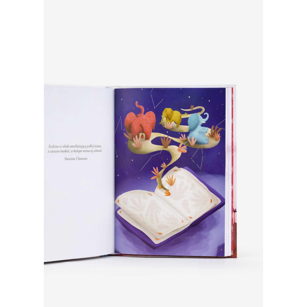 Mamy Dla Babci i Dziadka - Kochaj Mocno, Wspieraj Mądrze - Twarda Oprawa - Wydawnictwo Mamy Dla Mamy