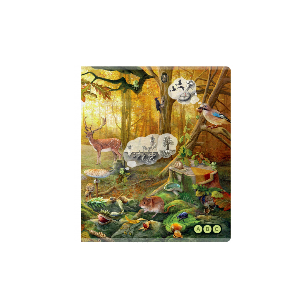 Książka Nasza Przyroda - Czytaj z Albikiem - Albi