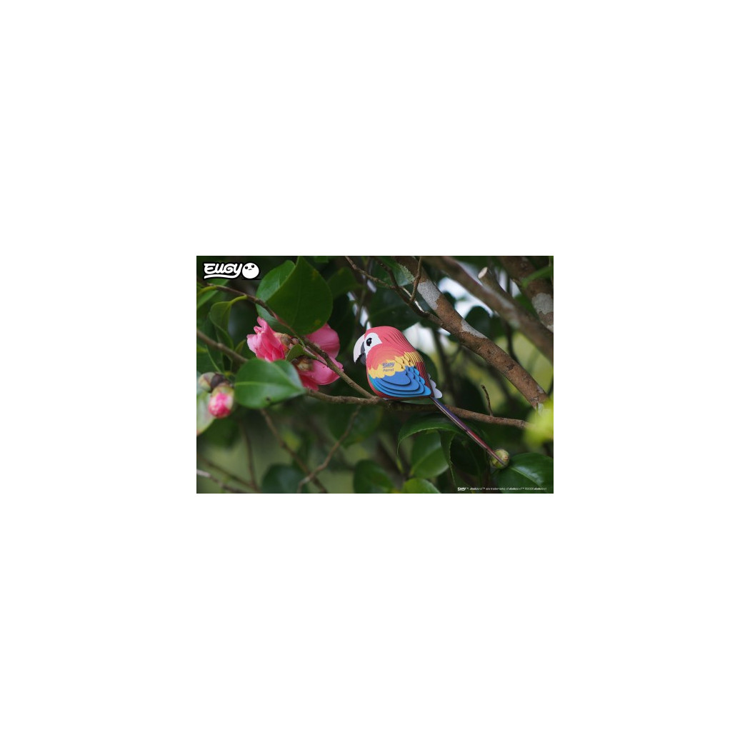 Papuga - Eko Układanka 3D - Eugy