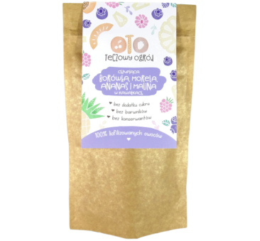 Mix Borówka Morela Ananas Malina - Owoce Liofilizowane w Kawałkach - Zdrowe Przekąski - OTO Landia - 20 g