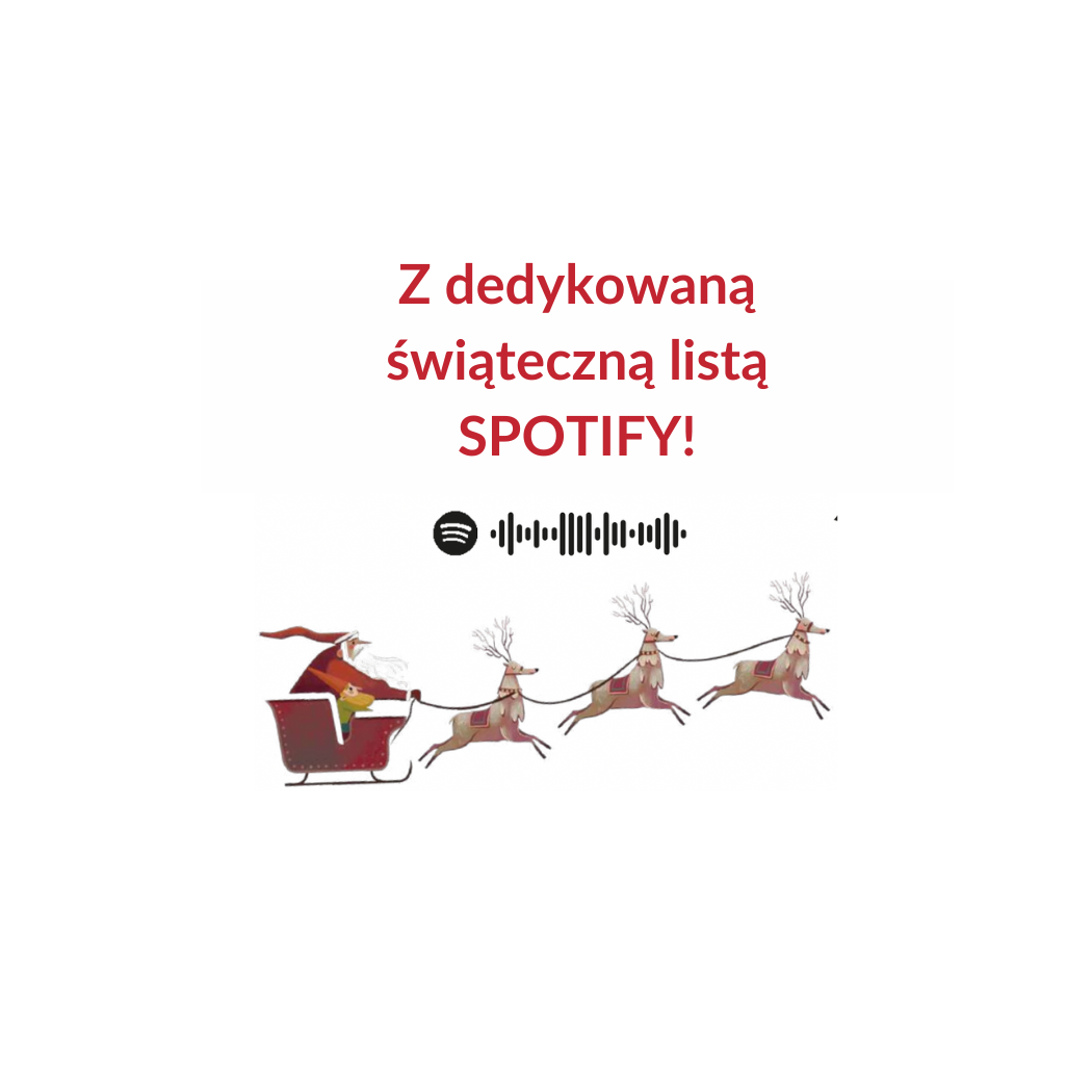 Czekając na Święta! - Wyjątkowy Kalendarz Adwentowy z 24 Okienkami - Giada Francia Claudia Bordin - Wydawnictwo Api Papi