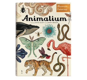 Animalium - Muzeum Zwierząt - Jenny Broom -...