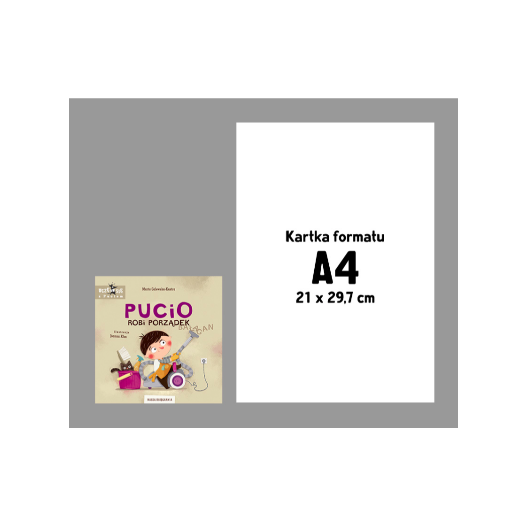 Pucio Robi Porządek - Nasza Księgarnia