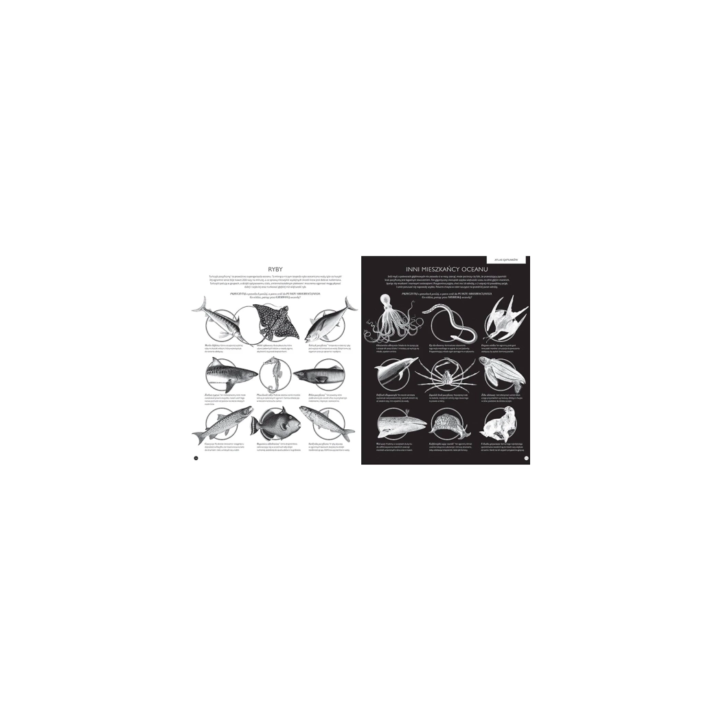 GABINET OCEANÓW - Taylor Barbara, Carnovsky - WYDAWNICTWO DWIE SIOSTRY