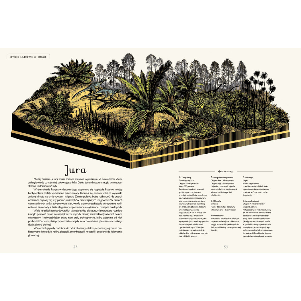 DINOZAURIUM - Lily Murray - DWIE SIOSTRY